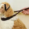 Hondenkragen ontleende koehid lederen kraag riem set hondenaccessoires voor honden van alle maten verstelbare sleutelleer korte riem voor hondenfamilies 230512