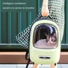 شركات النقل Cat Carrier Backpack Pet Bag Travel Travel Cat Hand Hand Hand Capsle