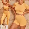 Conjunto ativo Aparel de fitness Feminino feminino sem costura de ioga define a costela esportiva