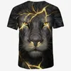 RUKAS Camiseta Interessante Gráfico Animal Leão Pescoço Gola Inferior Preto Vermelho Azul Roxo Verde Impressão 3D Tamanho Grande Casual Manga Curta Roupas Estampadas