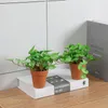 Decoratieve bloemen kunstmatige pot levendig mini groen bonsai home decor kantoor bureau buitendecoratie monstera blad voor