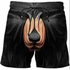 Shorts masculinos impressão 3D PRIMENTO BRUNCO DE NATAGEM BRUNCOS Praia Céu de céu Harajuku Surfada curta de ginástica estrelada Surfboard