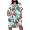 Plus la taille Robes Pink Flamingo Casual Femme Oiseaux Exotiques Imprimer Mignon Printemps À Manches Courtes Esthétique Taille Personnalisée 3XL 4XL 230512