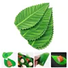 Dinware Sets 200 PCS Sashimi Leaf Sushi Bento Box Divider Decoratie Kaasschotels DISCE Decoraties Groen Set Hawaiiaanse bladeren Bord