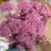 Decorative Flowers 50g Natural Millet Fruit Dried Flower Halloween Decoration Artificial Plant Christmas Wedding Gifts For Guests Fall Decor