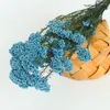 Decorative Flowers 50g Natural Millet Fruit Dried Flower Halloween Decoration Artificial Plant Christmas Wedding Gifts For Guests Fall Decor