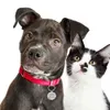 Gratis gravure huisdierhalsband gepersonaliseerde ID-tag gegraveerde naam voor hond kat puppy sleutelhanger charme hanger ketting accessoires