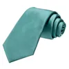 Papillon cravatta da sposa in seta tinta unita verde acqua per uomo Handky gemello regalo cravatta Fashion Business Party Dropshiping Hi-Tie DesignerBow BowBow