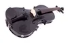 black 4/4 Electric Acoustic violin Maple+Spruce Nice Sound Free Case&Bow#EV1