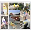 Training Parrot Harness and Leash Set Adjustable Outdoor Flying Training Rope with Wing for Small Medium Birds Cockatiel Macaw Budgie