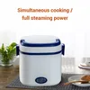 Appliances Electric Rice Cooker Stainless Steel Liner Mini Cooking Machine Portable Mini Thermal Heating Lunch Box Food Container Warmer