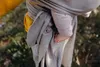 Sırt çantaları taşıyıcılar Slings Rahat moda bebek askı yumuşak doğal sargı bebek taşıyıcı sırt çantası 0-3 yıl nefes alabilen pamuk hipesya hemşiresi