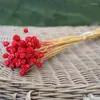 Decorative Flowers 50 Stems Dried For Arrangements Bundle Home Decor Po Props Handmade Air-drying THJ99