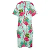 Plus la taille Robes Pink Flamingo Casual Femme Oiseaux Exotiques Imprimer Mignon Printemps À Manches Courtes Esthétique Taille Personnalisée 3XL 4XL 230512