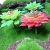Kwiaty dekoracyjne Nuonuowell 3xmini Fałszywa symulacja soczyste rośliny sztuczne kwiaty wystrój ślubny mini trawa 6 cm 7 cm