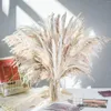 Decorative Flowers Natural Dried Pampas Grass Bouquet Wall Hanging Home Decor Boho Style Wedding Arrangement Flower Room 80pcs