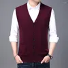 メンズセーター秋の冬のファッションブランドvネックニット韓国タンクトップベストウールカジュアル