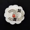 Знаменитый дизайн бренд роскоши Desinger Brooch Women Riteston