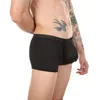 Mutande CLEVER-MENMODE Uomo Mesh Underwear Boxer Sexy Sheer Side con apertura sul cavallo Trunks Trasparente Boxershort Penis Pouch Mutandine