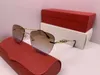 Panther Designer Sunglasses Woman Mens Fashion Frameless Gradient Square Gold Alloy Polarized Carti Sun Glasses Red Oval Oversized Sunglass UV400 Eyeglasses