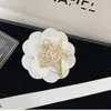 Women Designer Brooches Crystal Rhinestone Brand Letter Brooch Charm Pearl Pin 20 Style Marry Wedding Party Gifts Accessories