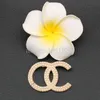 Vintage elegant broschdesigner Crystal Rhinestone Women Jewellery Accessories Party Gift