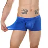 Mutande CLEVER-MENMODE Uomo Mesh Underwear Boxer Sexy Sheer Side con apertura sul cavallo Trunks Trasparente Boxershort Penis Pouch Mutandine