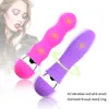 Vibromasseur jeu de sexe gode vagin pour Spot Clitoris stimulateur secouant l'amour sautant des oeufs masturbateur produit femmes