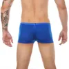 Mutande CLEVER-MENMODE Uomo Mesh Underwear Boxer Sexy Sheer Side con apertura sul cavallo Trunks Trasparente Boxershort Penis Pouch Mutandine