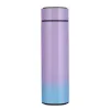 500ML Smart Isolierung Tasse Mini Thermos Tasse Wasser Flasche Led Digitale Temperatur Display Edelstahl Thermos Tasse