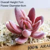 Decorative Flowers & Wreaths Green Pink Flocking Artificial Succulents Plants DIY Desktop Small Bonsai Home Garden Living Room Decoration Fa