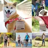 Capas de assento de carro de cachorro Tream bolsas para treinamento de animais de estimação com bolsa de banda elástica de bolsa de carabiner com facilidade carrega brinquedos