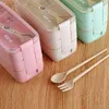 Bento Boxes Kitchenl Microwave Lunch Box Wheat Straw Dernware Food Storage Container Childs School Office Portable Bento Box 230515