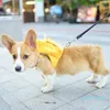 デザイナー - 小型犬用のキャリアペットバックパック