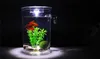 Tanks 1 stuk plastic lui aquarium klein aquarium mini goudvissenkom vierkante aquarium ronde aquarium ecologische vissenkom rransparen