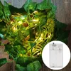 Strings 2m/5m Party Balcony Indoor Outdoor Waterproof LED String Light Vine Home Decor Yard Wedding Battery Powered Plastic