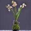 Dekoracyjne kwiaty 3 widelce sztuczne storczyki Ręka Feel Mini Vanda Orchid Rośliny Symulacja Flower Wedding Party Domowa dom