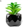 Flores decorativas Planta artificial PVC Suculentas Bonsai Durable Realista Alta calidad