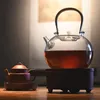 Чайная рамка Wizamony стеклянная чайник сгущенной чайник Японесстан