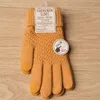 Cinq doigts gants Imitation cachemire tricoté dames écran tactile chaleur mode automne et hiver épaississement antidérapant