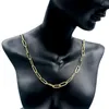 Correntes Moda Mulher Colar Colar Copper Placting Solid Color Gold Clipe Hip Hop Punk Clavicle Chain Party Jewelry Gift