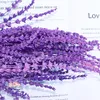 Decorative Flowers 20g Immortal Flower Decor Lavender Natural Dried Bouquet For Wedding Party Decoration Garden Living Room