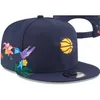 Toptan Sepet Kapakları Yaz Basketbol Şapkaları Snap Sırtlar Açık Hip Hop Tüm Takımlar Ayarlanabilir Kapak Gri Dikiş Kalp "Serisi" "Kuş Çiçekleri Karışık Sipariş