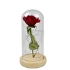 Fiori Decorativi Led Rosa Rossa Chiaro In Cupola Di Vetro Luci Di Fiori Di Sesamo Di Seta Su Base In Legno Per La Decorazione Del Regalo Di Compleanno Di San Valentino