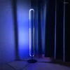 Vloerlampen moderne minimalistische LED -hoeklamp die staat voor woonkamer sfeer afstandsbediening bedregeling bed decoratiestandaard