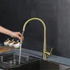 Kitchen Faucets Design Faucet Modern North American Sink Cold And Brass Pull Type Rotary Brushed Gold