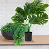 Dekorativa blommor Green Office Decor Bird Paradise House Plants inomhus LIVE GOLV LITT IN INHOOR RAMADAN DECORATIONS Vägg utomhus