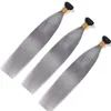 Armure de cheveux gris brésiliens 3 faisceaux avec fermeture à lacet Extensions de cheveux gris argent Ombre avec fermeture 1B gris soyeux droit