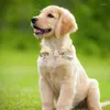 개 칼라 작은 두건 애완 동물 야외 냉각 칼라 귀여운 여름 재사용 스카프 개 목 장식