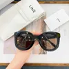 Marka Tasarımcısı Safilo Eyewear Rayben Güneş Cam Glassları Manyetik Güneş Gözlükleri Sürüş Plaj Çerçevesi Stüdyosu Serin Kutu